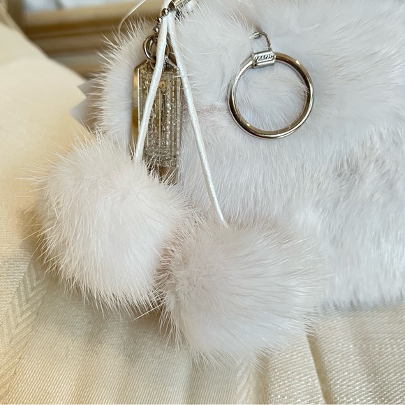 NWT Coach Poppy Mink Fur and Leather Trim Evening Bag -- RARE!! - Picture 2 of 15